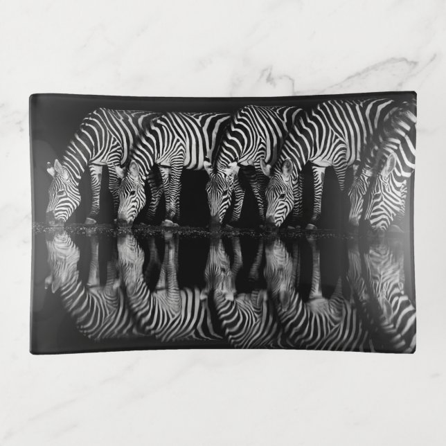 Group of Plains Zebra Drink Together at Night Trinket Tray (Front)