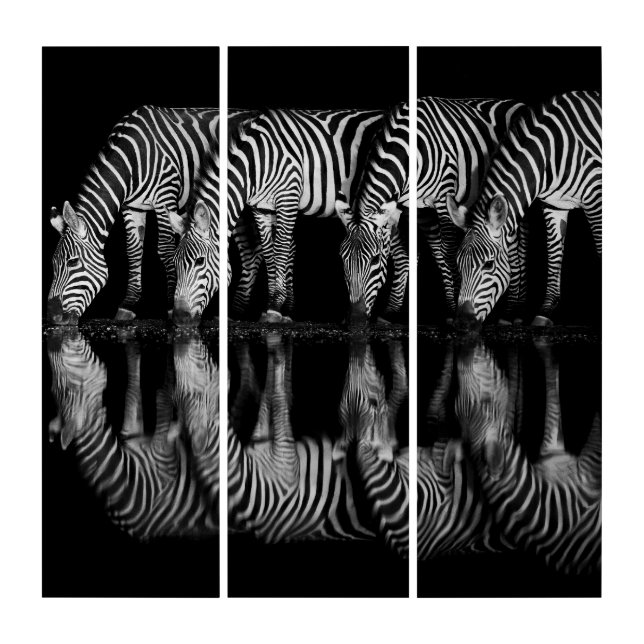 Group of Plains Zebra Drink Together at Night Triptych (Front)