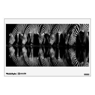Group of Plains Zebra Drink Together at Night Wall Decal