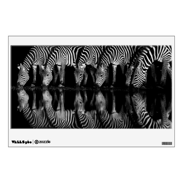 Group of Plains Zebra Drink Together at Night Wall Decal (Front)