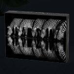 Group of Plains Zebra Drink Together at Night Wooden Box Sign<br><div class="desc">Africa,  East Africa,  Kenya,  Great Rift Valley,  Olkirimatian Conservancy,  plains zebra,  Equus quagga.  A group of plains zebra drink together at night.  B & W</div>