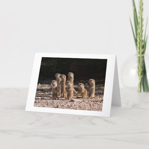 GROUP OF PRARIE DOGS ARE SAYING HAPPY BIRTHDAY CARD