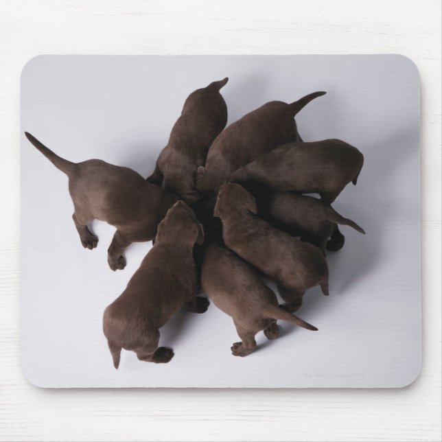 Group of puppies with heads together mouse pad (Front)