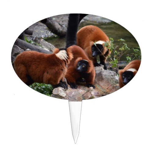 group of red ruffed lemur looking center cake topper