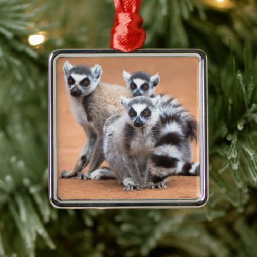 Group of Ring_Tailed Lemurs Metal Ornament