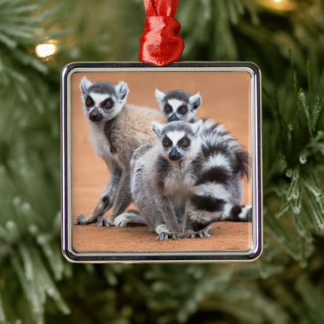 Group of Ring-Tailed Lemurs Metal Ornament (Tree)