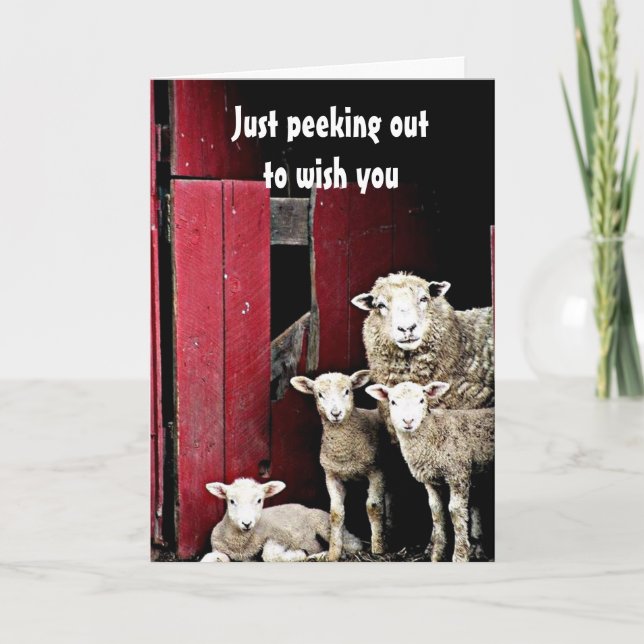 "GROUP OF SHEEP" WISH YOU *MERRY CHRISTMAS* CARD (Front)