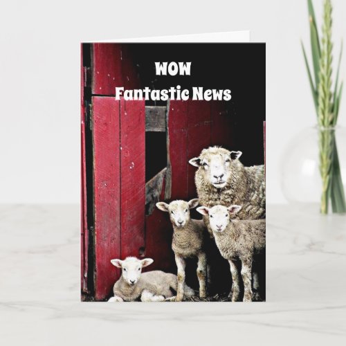 GROUP OF SHEEP YOUR ROCK CONGRATULATIONS CARD