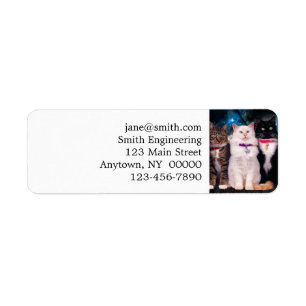 Group of sitting cats in the space label