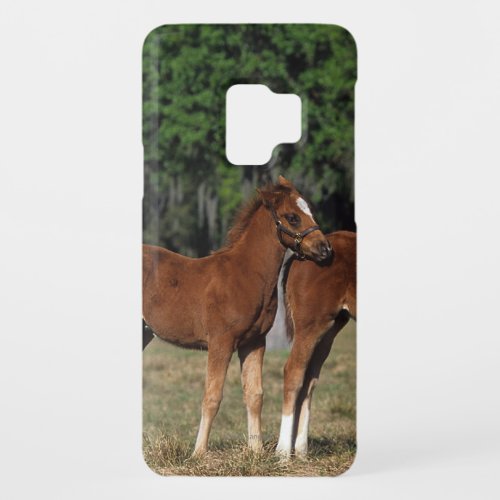 Group of Thoroughbred Foals Case_Mate Samsung Galaxy S9 Case