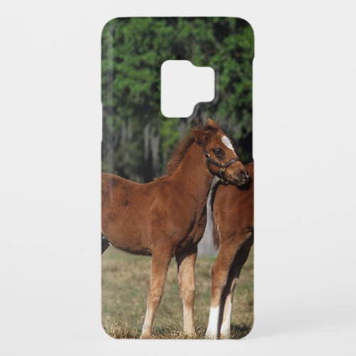 Group of Thoroughbred Foals Case_Mate Samsung Galaxy S9 Case