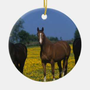 Group of Thoroughbred Horses Ceramic Ornament