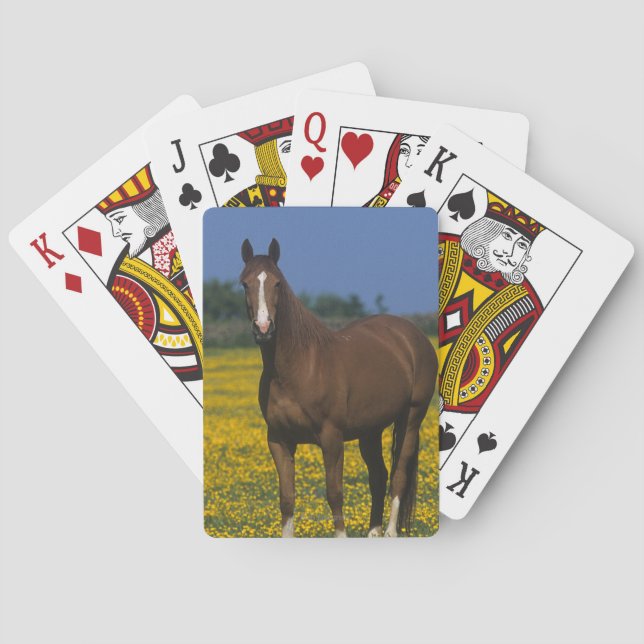 Group of Thoroughbred Horses Poker Cards (Back)