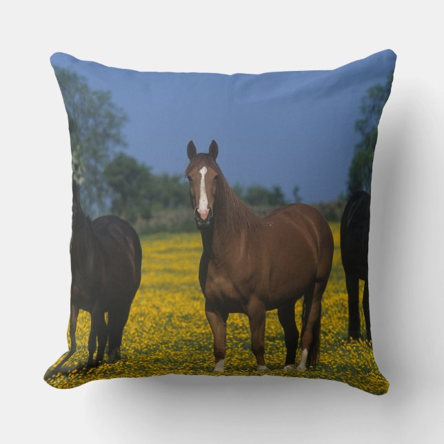 Group of Thoroughbred Horses Throw Pillow (Front)