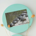 Group of Turtles on Rock Funny Nature Birthday Card<br><div class="desc">Funny birthday card for all that features a photo image of turtles sun bathing on a rock in a pond. Select your card finish style.</div>