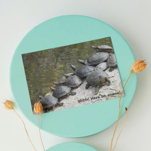 Group of Turtles on Rock Funny Nature Birthday Card