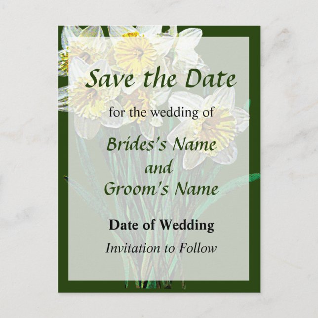 Group of White Daffodils Announcement Postcard (Front)