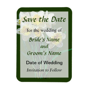 Group of White Daffodils Save the Date Magnet