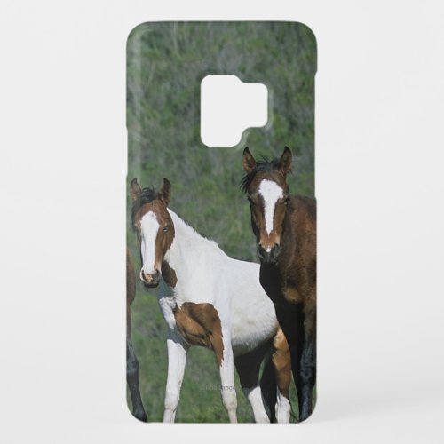 Group of Wild Mustang Horses Case_Mate Samsung Galaxy S9 Case