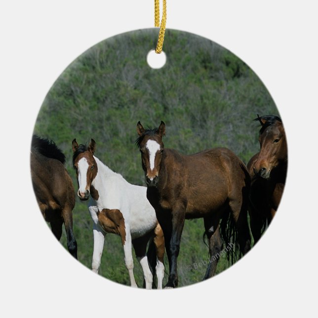 Group of Wild Mustang Horses Ceramic Ornament (Front)