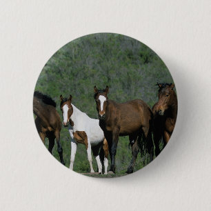 Group of Wild Mustang Horses Pinback Button