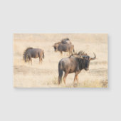 Group of wildebeest (Front)