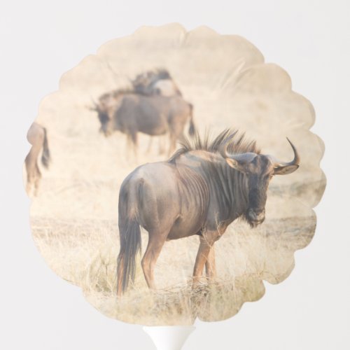 Group of wildebeest balloon