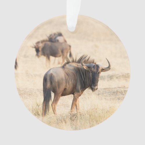 Group of wildebeest ornament