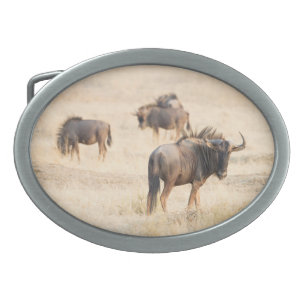 Group of wildebeest oval belt buckle