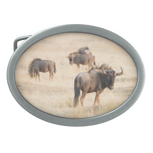 Group of wildebeest oval belt buckle
