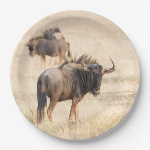 Group of wildebeest paper plates