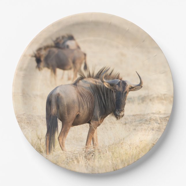 Group of wildebeest paper plates (Front)