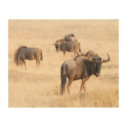 Group of wildebeest photo wood wall art