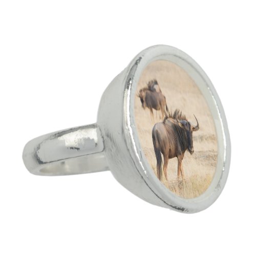Group of wildebeest ring