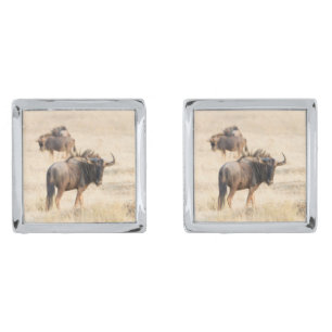 Group of wildebeest silver cufflinks