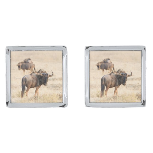 Group of wildebeest silver cufflinks (Front)