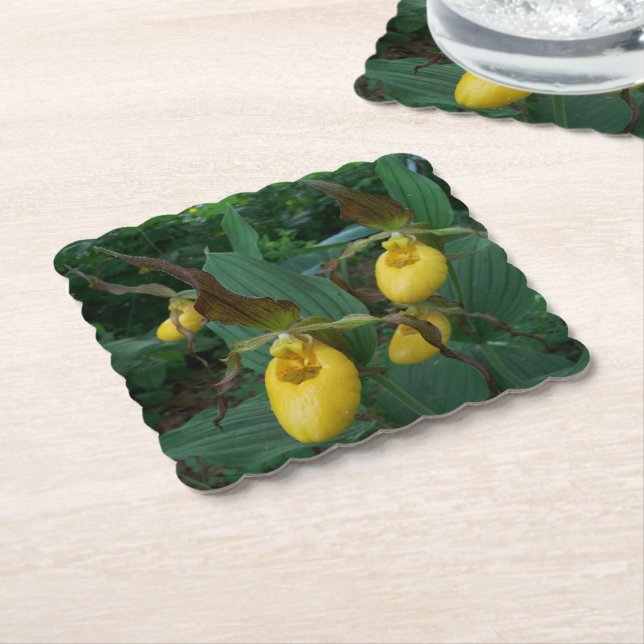 Group Of Yellow Lady's Slipper Orchid Flowers Paper Coaster (Angled)