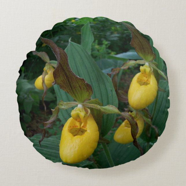 Group Of Yellow Lady's Slipper Orchid Flowers Round Pillow (Front)