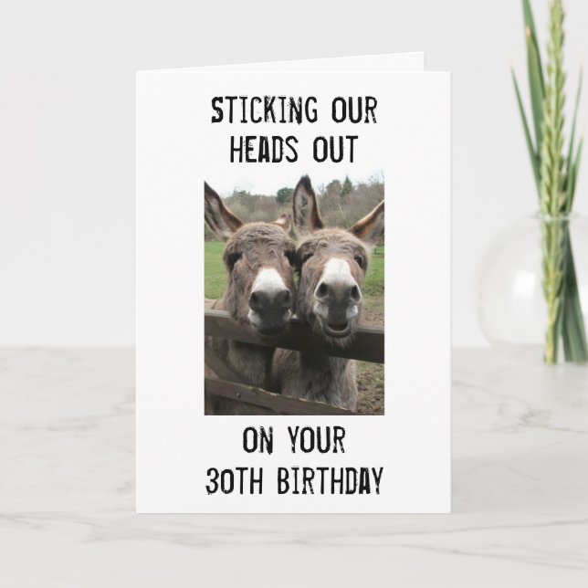 GROUP OR COUPLE DONKEY HAPPY 30th Birthday Card (Front)