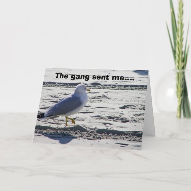 GROUP PARTY SEAGULL HUMOR-BIRTHDAY CARD (Front)