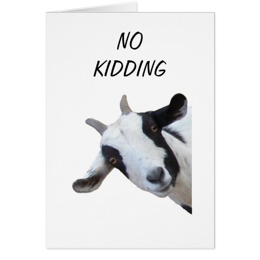 GROUP SAYS NO KIDDING "40th" Cards (Front)