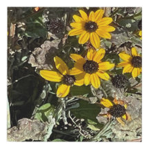 Group Yellow Flowers Faux Wrapped Canvas Print