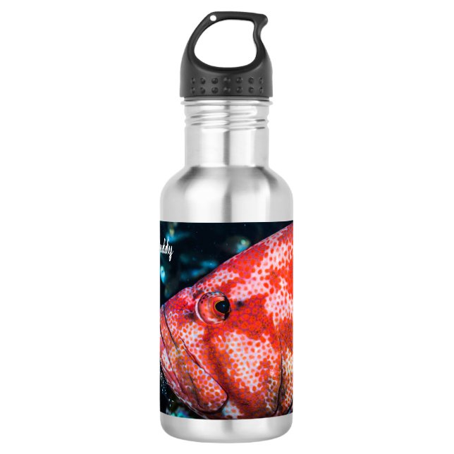 Grouper and Cleaner Shrimp Stainless Steel Water Bottle (Front)