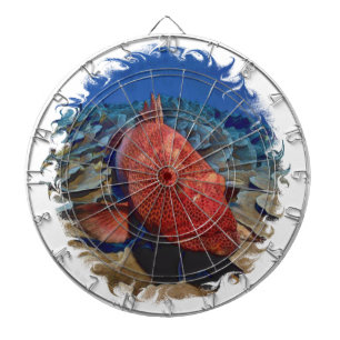 Grouper Fish On Coral Golf Balls Golf Ball Marker Dart Board