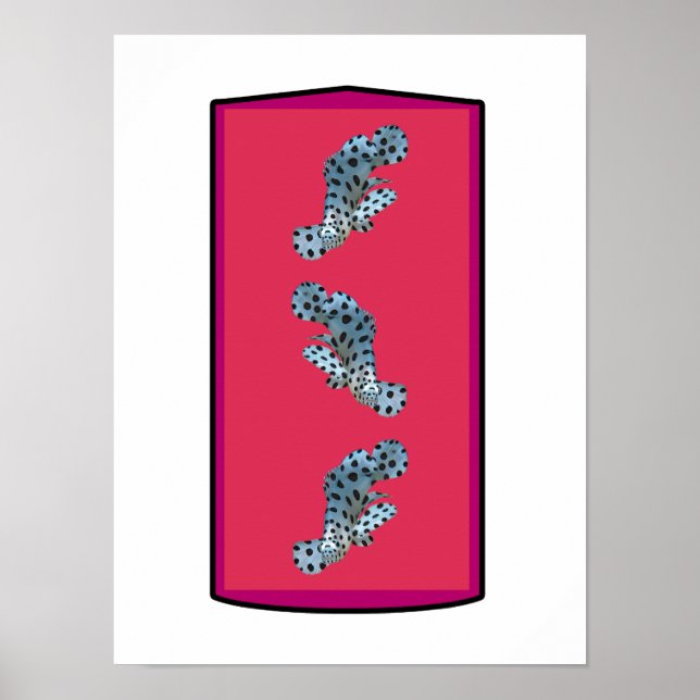 Grouper - Magenta-toned Background bordered |  Poster (Front)