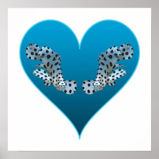 Grouper Twins in a Blue Heart - Illustration |  Poster
