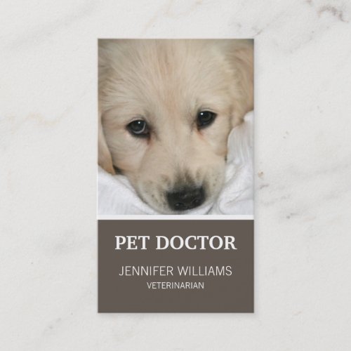 Groupon Dog Doctor Business Card
