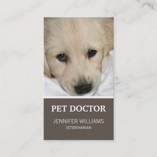 Customizable Groupon Dog Doctor Business Card