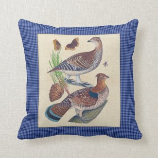 Grouse and Gingham Natural History Pillow 16x16