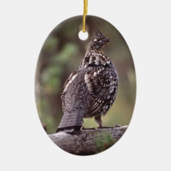 Grouse Ceramic Ornament by WorldDesign at Zazzle